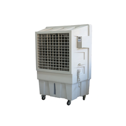 [05200041] Air cooler 100 - 150m² 110V 140 Lts RGC